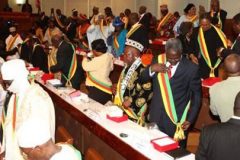 Cameroon: Senators grilled cabinet ministers on bilingualism, electricity