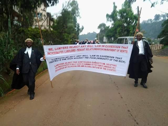 Bamenda: North West lawyers protest against modification of the Penal Code