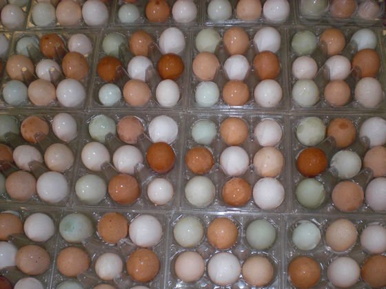 Bamenda: Fear of Avian Influenza, North West authorities destroy 17,640 eggs