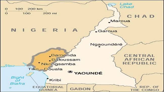 EUROMONEY says Cameroon still a high-risk option