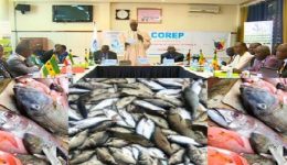Cameroonian fishery products banned in EU