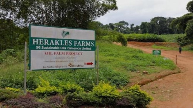 Herakles Farms Affair: Nguti Chiefs have addressed a letter to President Biya