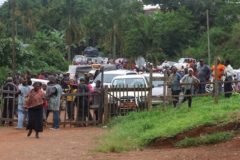 Southern Cameroon Crisis: Counting the cost