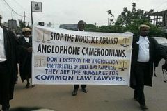 Anglophone Lawyers Strike Action: Barrister Ngnié Kamga of La Republique du Cameroun cautioned
