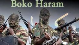 Far North Region: 5 Boko Haram militants killed in repelled attack