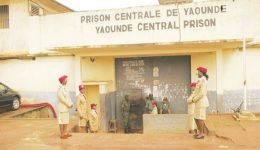 Yaoundé: man who tried to make fake presidential decrees read on CRTV jailed