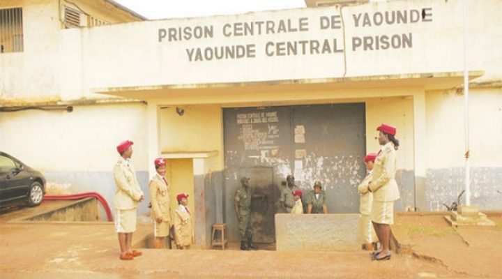 Yaoundé: man who tried to make fake presidential decrees read on CRTV jailed