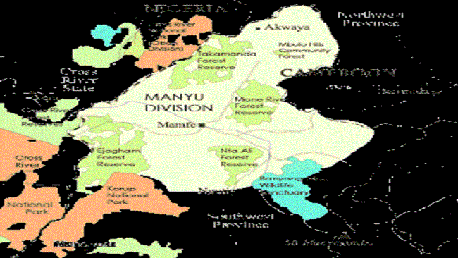 Creation of the Manyu Liberation Council: A bold step in the right direction