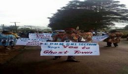 Southern Cameroon Crisis: Six CPDM members kidnapped