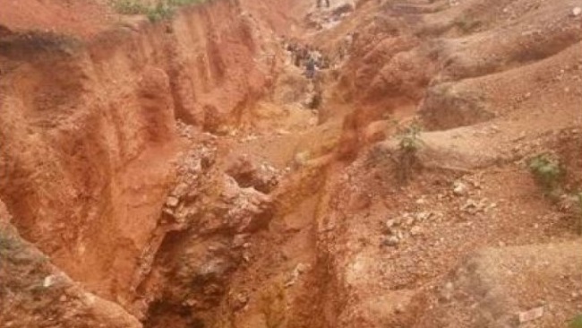 Dozens arrested including 2 Chinese in French Cameroun anti mining raids