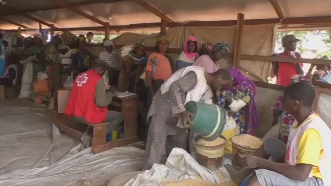 Mobile money transfers give refugees in Cameroon choices of products