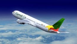 Camair-Co remains in the red despite CFA6.85 billion in state support