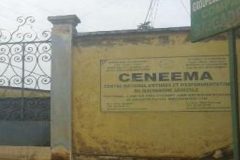 ceneema Exposed: The true scale of President Biya’s deal with the General Manager of CENEEMA
