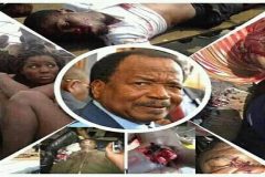 Southern Cameroons Crisis: Biya is a criminal unable to command the respect of his people