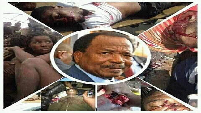 Southern Cameroons civilians accuse Cameroon government military of brutality