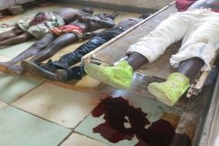 Genocide in Southern Cameroons UN Rights Office denounces killings of Southern Cameroonians