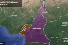 Southern Cameroon militant Kills Commander, 2 gendarmes in Ndian Division