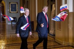 Protester arrested after throwing Russian flags at Trump