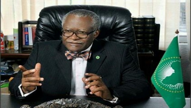 Yaounde: Court sentences renowned Barrister Akere Muna in forgery case