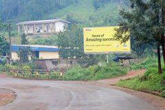 The diaspora groups in American suburbia backing a breakaway Ambazonia