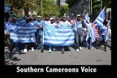 Of Ambazonia and a new strategy