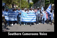 Berlin: Ambazonians in Germany to demonstrate in support of the Interim Head of State
