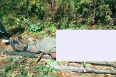French Cameroun gendarme killed in Jakiri
