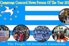 Southern Cameroons Crisis: It’s all up to you