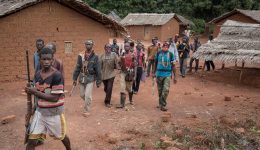 Central African Republic rebels kill three in French Cameroun raid