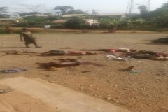 Mamfe now The Ambazonia War: Time for the Interim Government to provide a strong military response to Yaounde