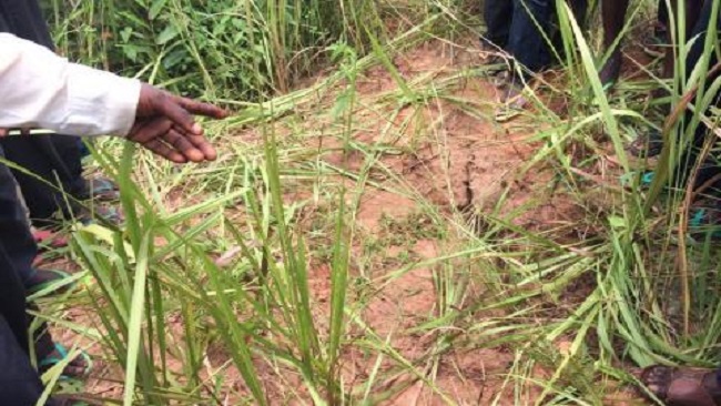 Anglophone Crisis: 2 mass graves with dozens of bodies found in Mamfe