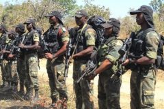 SDF condemns ‘Militarization’ in Anglophone Crisis