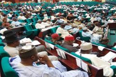 Ambazonia: Nigerian House of Reps Reject Motion To Grant Full Protection To Cameroonian Refugees