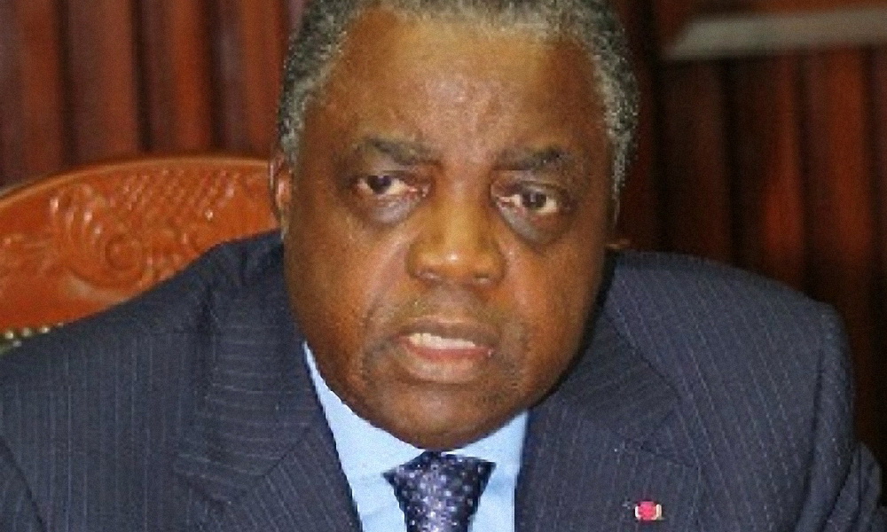 France UN Politics: Biya regime rejects UN comments on opposition leader’s ‘house arrest’