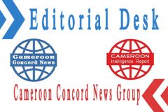 editorialDesk Cameroon in 2024: Concord Group predictions