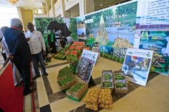 UN warns of rising food insecurity across Africa
