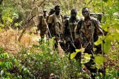 Southern Cameroons Crisis: Amba Tigers battle military in various locations in Southern Cameroons