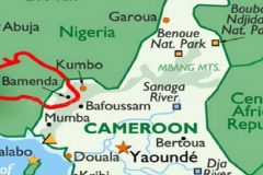 Bamenda Southern Cameroons Crisis: Medical doctor shot in Bamenda