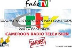 Coalition opposes legislation on fake news, hate speech in Cameroon, Nigeria, and Ethiopia