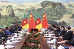 China willing to help Cameroon promote sustainable development