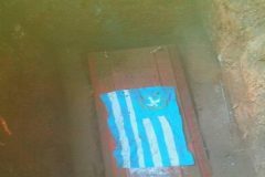 Manyu Diaspora Advisory Committee calls for a total boycott of May 20th