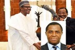 Biya Buhari Sisiku Political Islam: Buhari admin says several Southern Cameroons refugees possess Nigerian voter cards