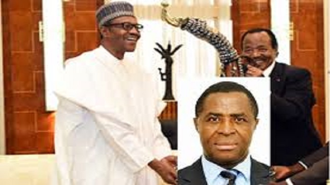 Political Islam: Buhari admin says several Southern Cameroons refugees possess Nigerian voter cards