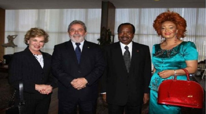 Billions lost as secret financial networks fuel forest destruction in Cameroon and Brazil