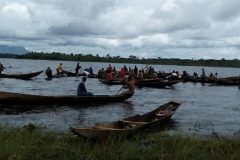 French Cameroun: Gunmen kill 4 fishermen in Far North region