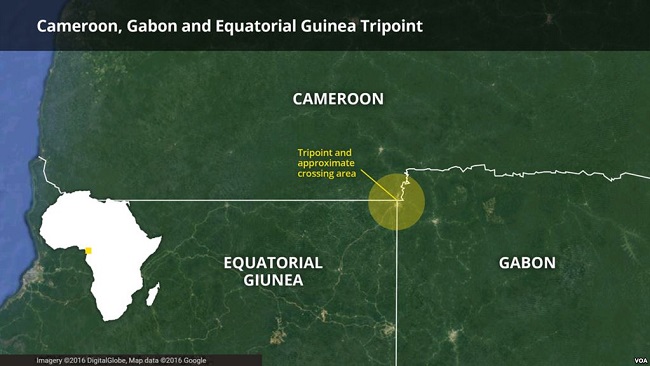 Cameroon, Equatorial Guinea reopen border after four months