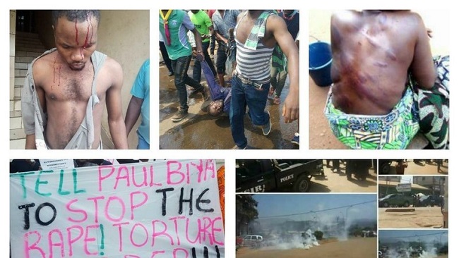 Ending the war in Southern Cameroons: Regime change in Yaoundé is the only option