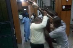 Thugs Nigeria: Thugs invade Senate, fight security and steal symbol of authority