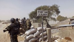 French Cameroun: Two militants killed as army repels Boko Haram