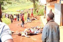 Southern Cameroons Crisis: Protect us against our protectors